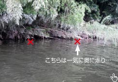 Q̃qbg荞߂̂͂P