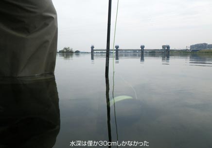 ̒Ő[30cm