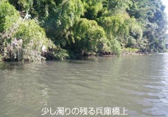 ̂镺ɋ