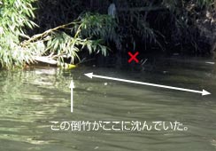 ł||̌Ńqbg