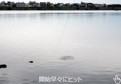 Jn͂悩Ȃ
