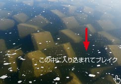 ubN̊Ԃ𓦂
