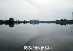 |CgȂ̂oȂ