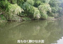 gȂ₩ȗ