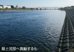 㗬̗ꍞ݉
