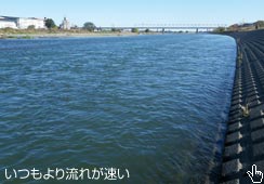 藬ꂪ