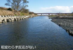 ς炸̂Ȃ[F-7] 