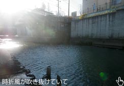肵މʂ̕