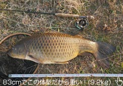 `傫Ad