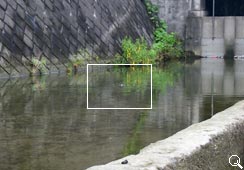 ς炸PނȂ