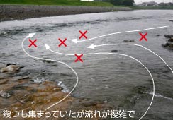 GȗŒމʖ