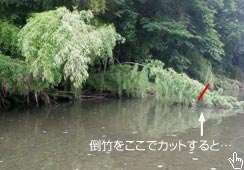 ^Q̐Z||