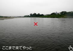 l̑OɌCȔƂP