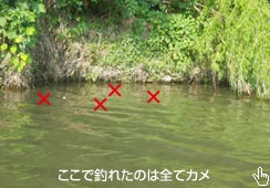 ł̓J΂A