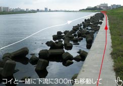 x݂͌̏300mړĎ荞
