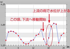 ̐ʂ̕ωłA|