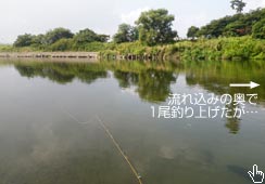ȂƂPނꂽオȂ