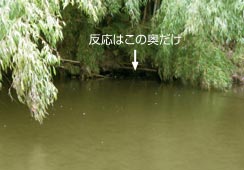 ͓||̉