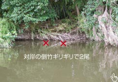Ɠ||OMMŃqbg