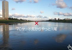 VO[hłƎqbg