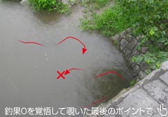 Ō̍ŌłƂP