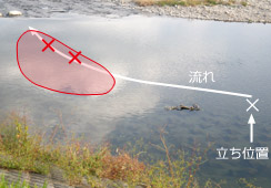 Ɣo؂肪