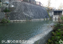 肪PQbg
