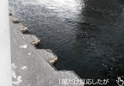 łP