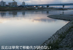 |c|co邪P