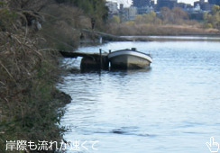 荞ނ̂ɎԂ|