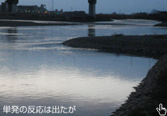 NŌ̃|Cg