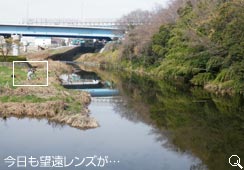 ̓JQ