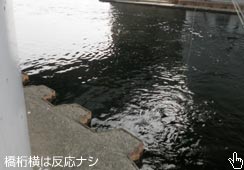͋U
