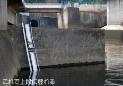 ȉɏオnVS()