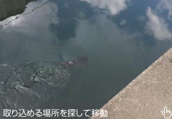 A蓹łPǉ