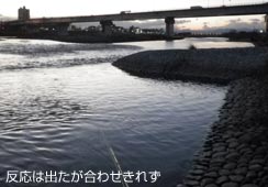 VN̐ł̑ꍆ