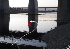 VN̐ł̑ꍆ