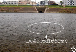 ɂ̐ɂ̓jSC