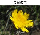 u^i