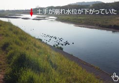 y肪Đʂ