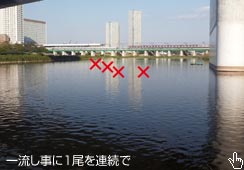 SłSBǂ