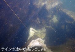 ǂȂ鎖ƐSz
