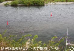 ҂ĒނグĂ݂mjSCn