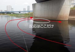 ꂪGŁc