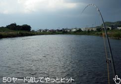 50[hŃqbg
