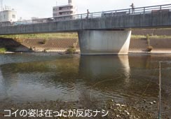 ォ͌̂ɔȂ