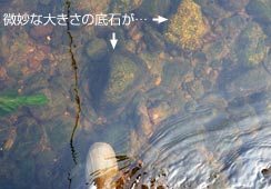 ΂r[ŕ