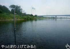 ̒ɂ݃SC