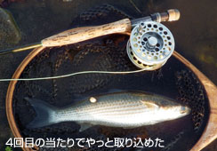 Sxڂ̓Ŏ荞߂