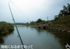 vO10